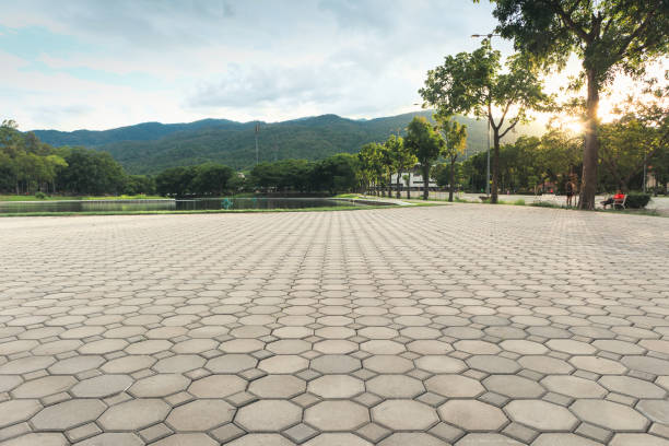 Best Local Driveway Pavers  in Hereford, TX